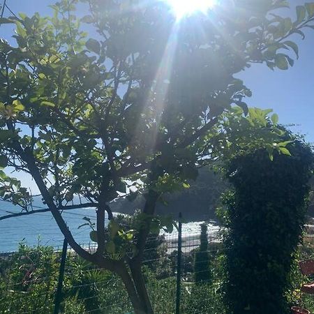 Cozy Beach House With Nice Garden, Basic Feel Bonassola Exterior foto
