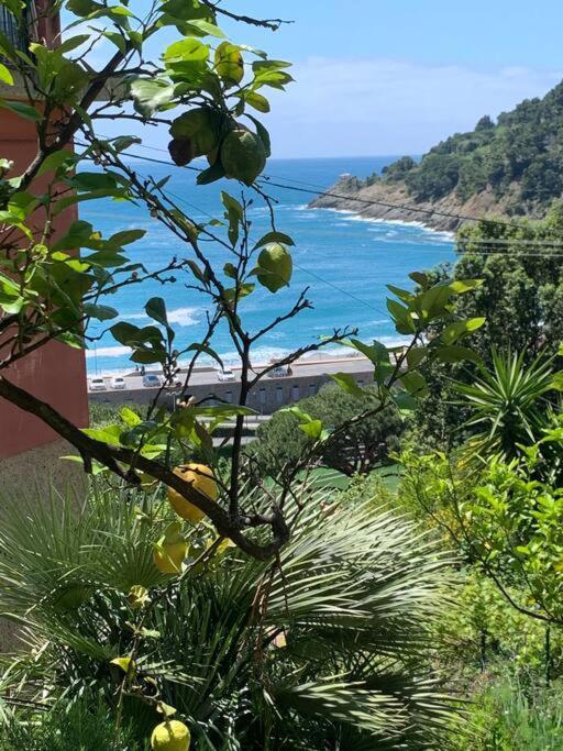 Cozy Beach House With Nice Garden, Basic Feel Bonassola Exterior foto